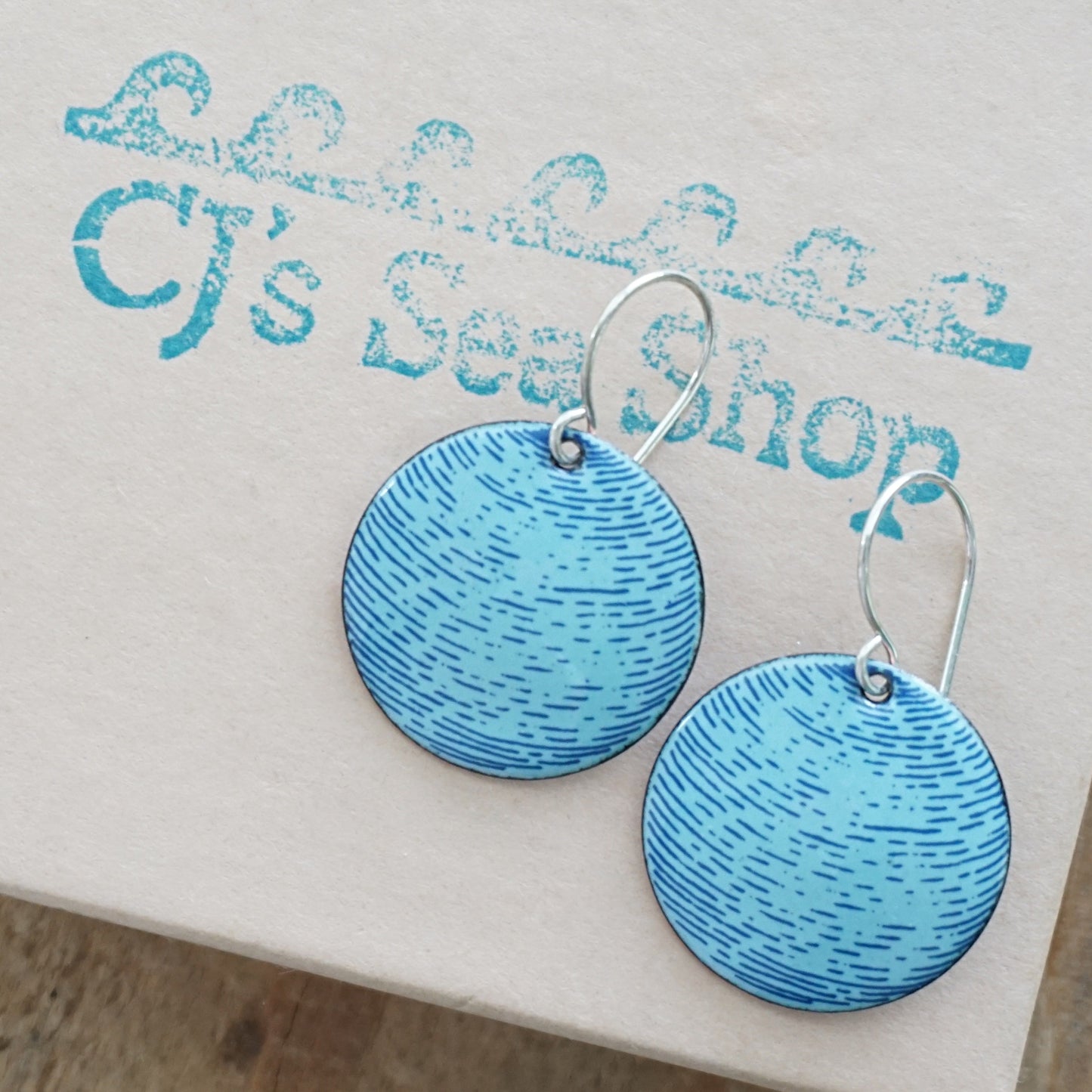 Blue Accents on Light Blue Enamel Disc Earrings