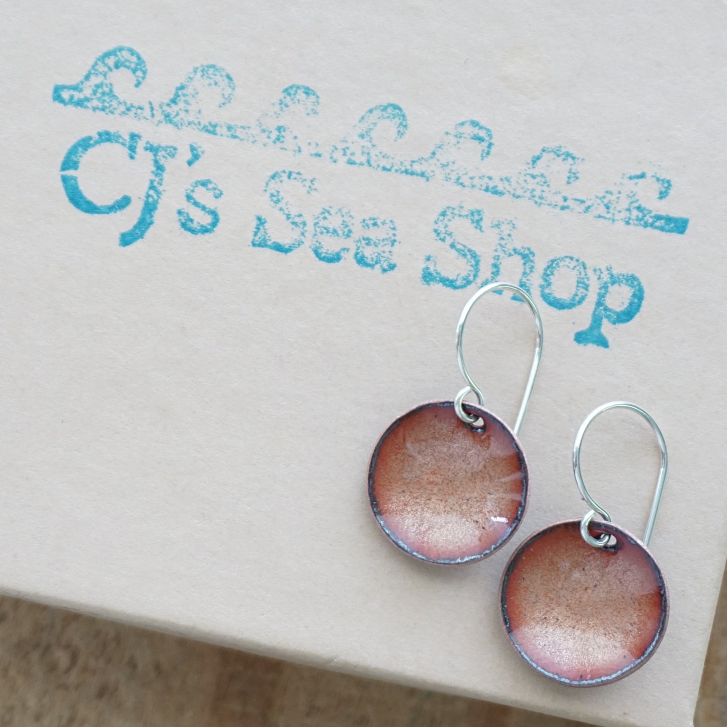 Bronze Enamel Disc Earrings