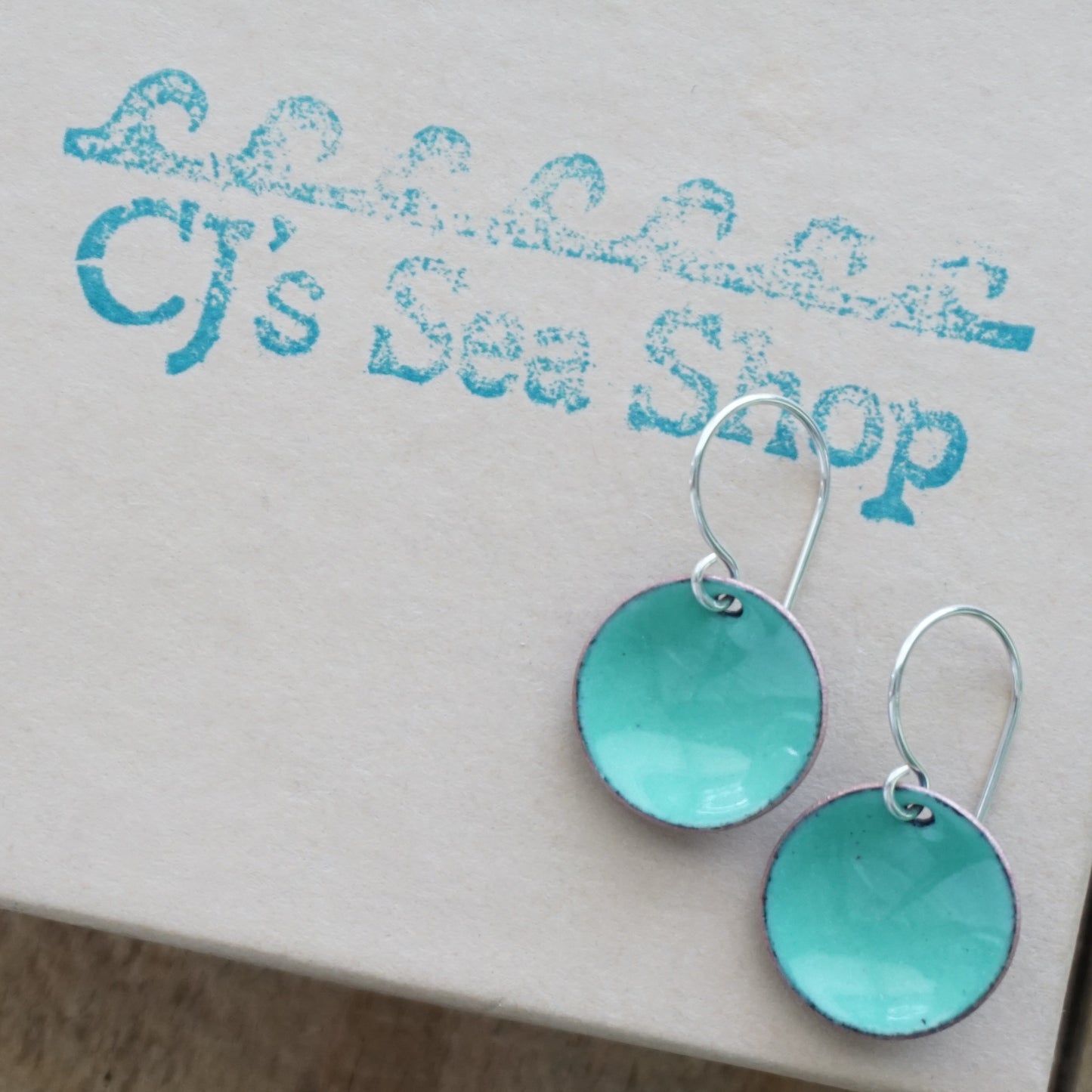 Mint Green Enamel Disc Earrings