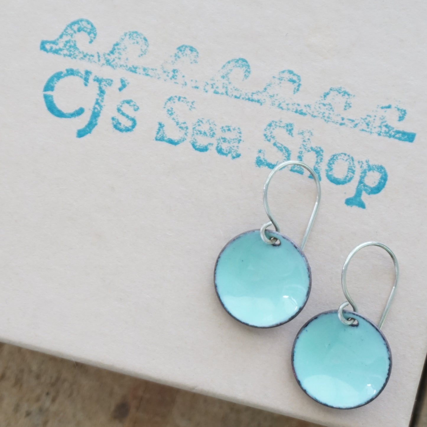 Seafoam Green Enamel Disc Earrings
