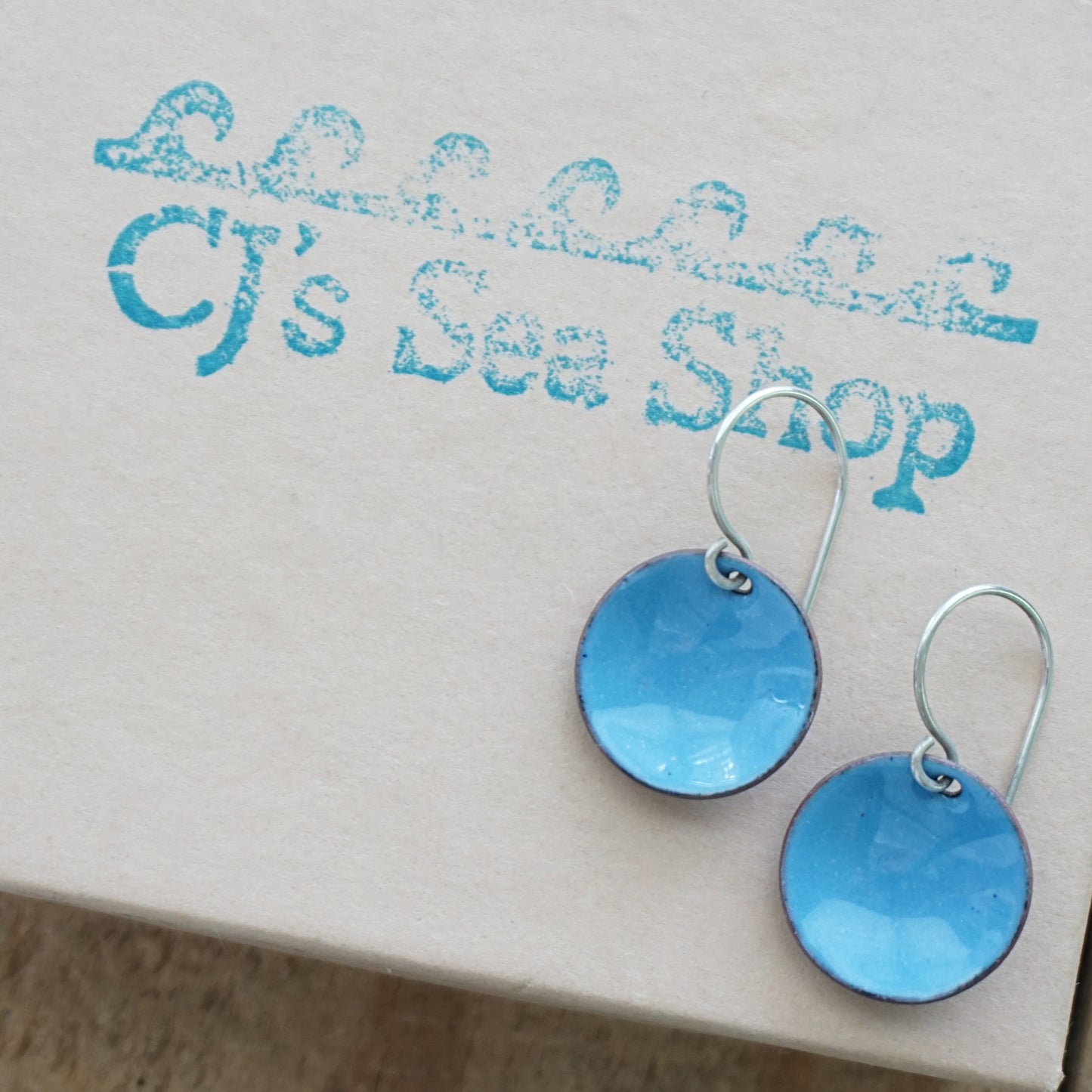 Blue Enamel Disc Earrings
