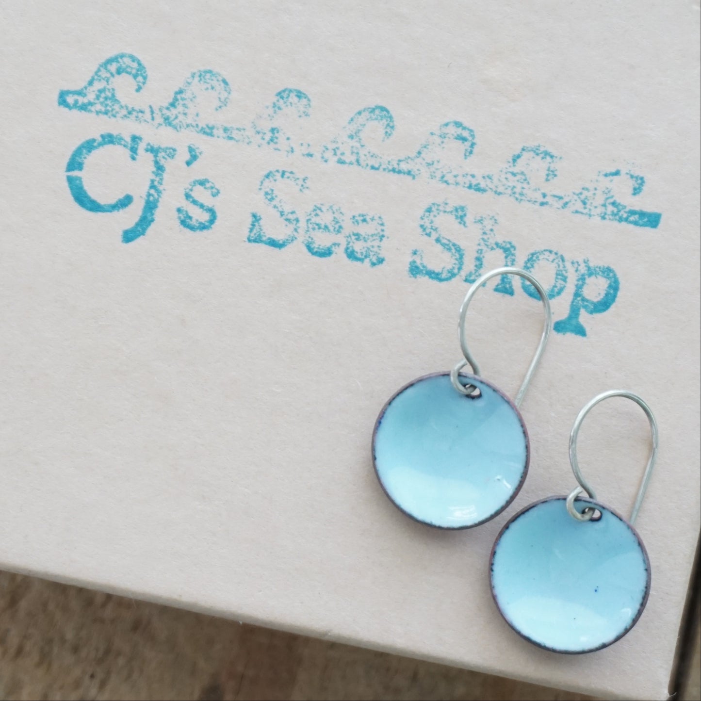 Light Blue Enamel Disc Earrings