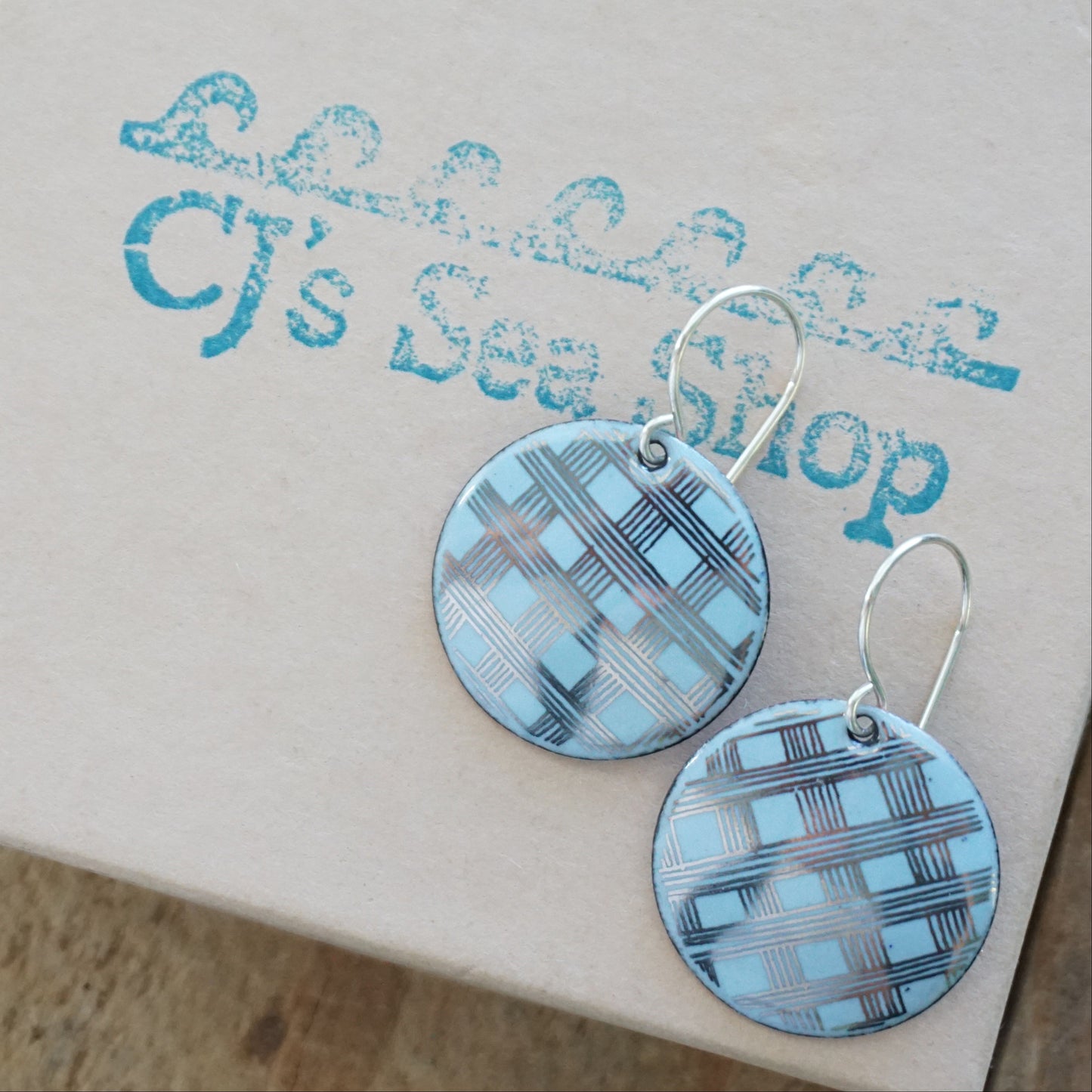 Silver Accents on Light Blue Enamel Disc Earrings