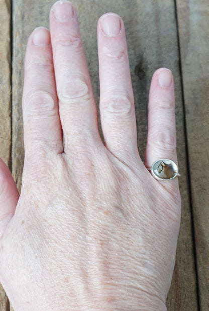 hand wearing a silver ring with a brown stone on a wooden background