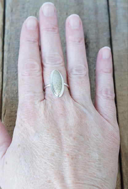 Size 9 Fossilized Coral Statement Ring