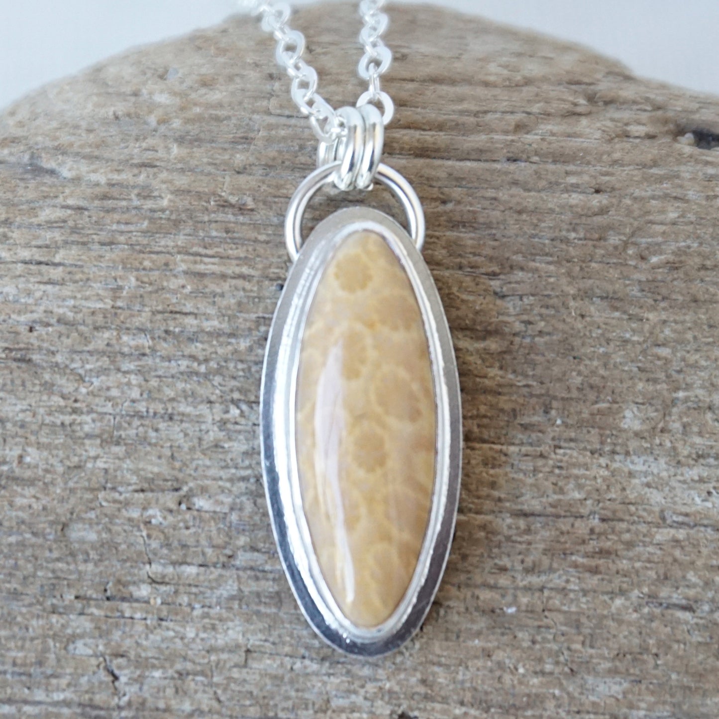 Fossilized Coral Pendant