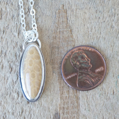 Fossilized Coral Pendant