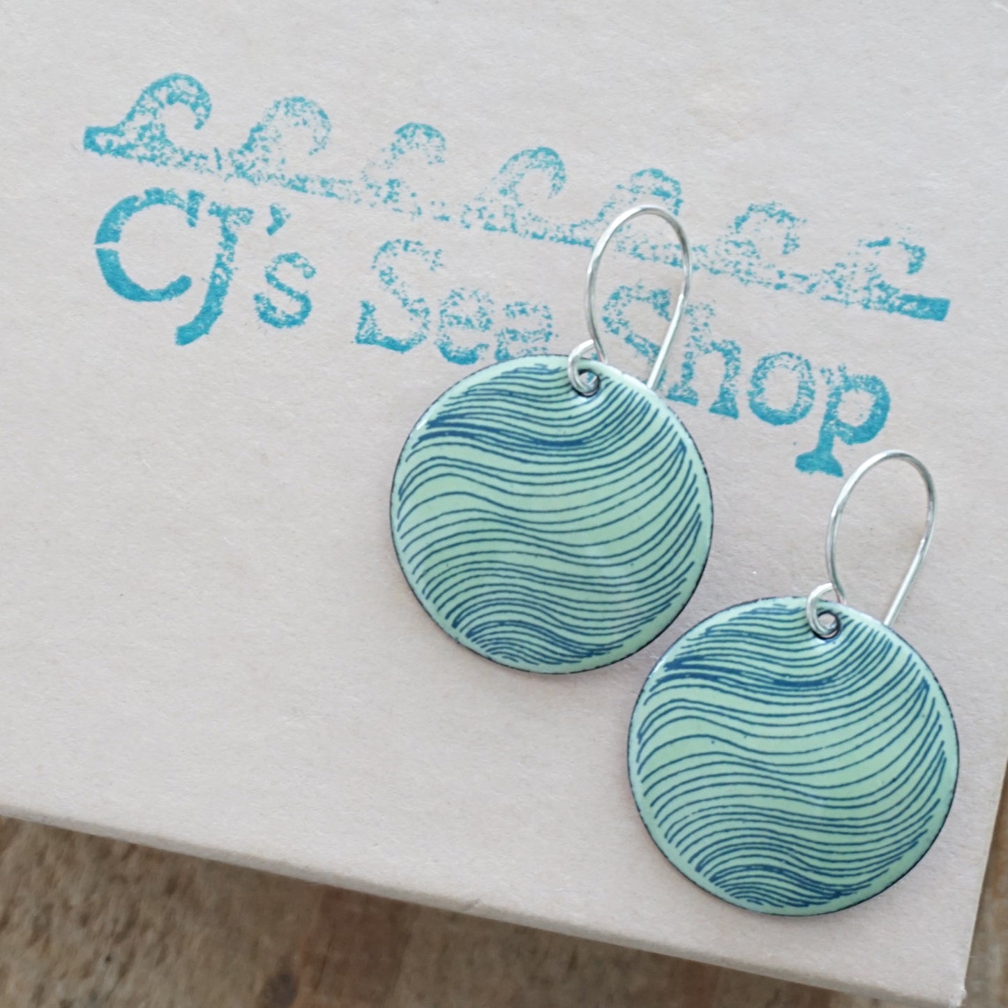 Blue Accents on Green Enamel Disc Earrings