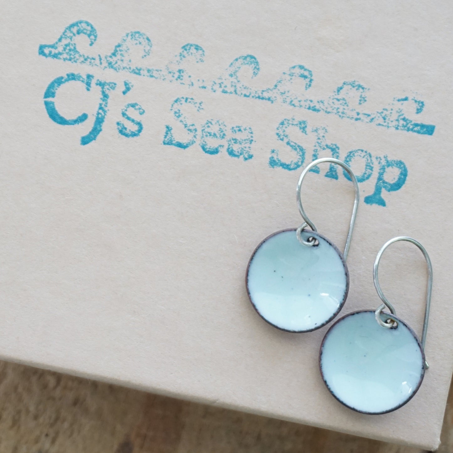 Seafoam Green Enamel Disc Earrings