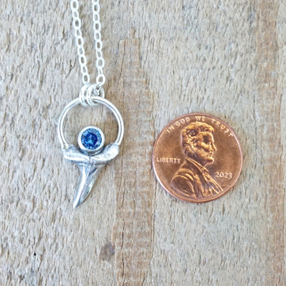 Sterling Silver Sharks Tooth and Blue Cubic Zirconia Pendant