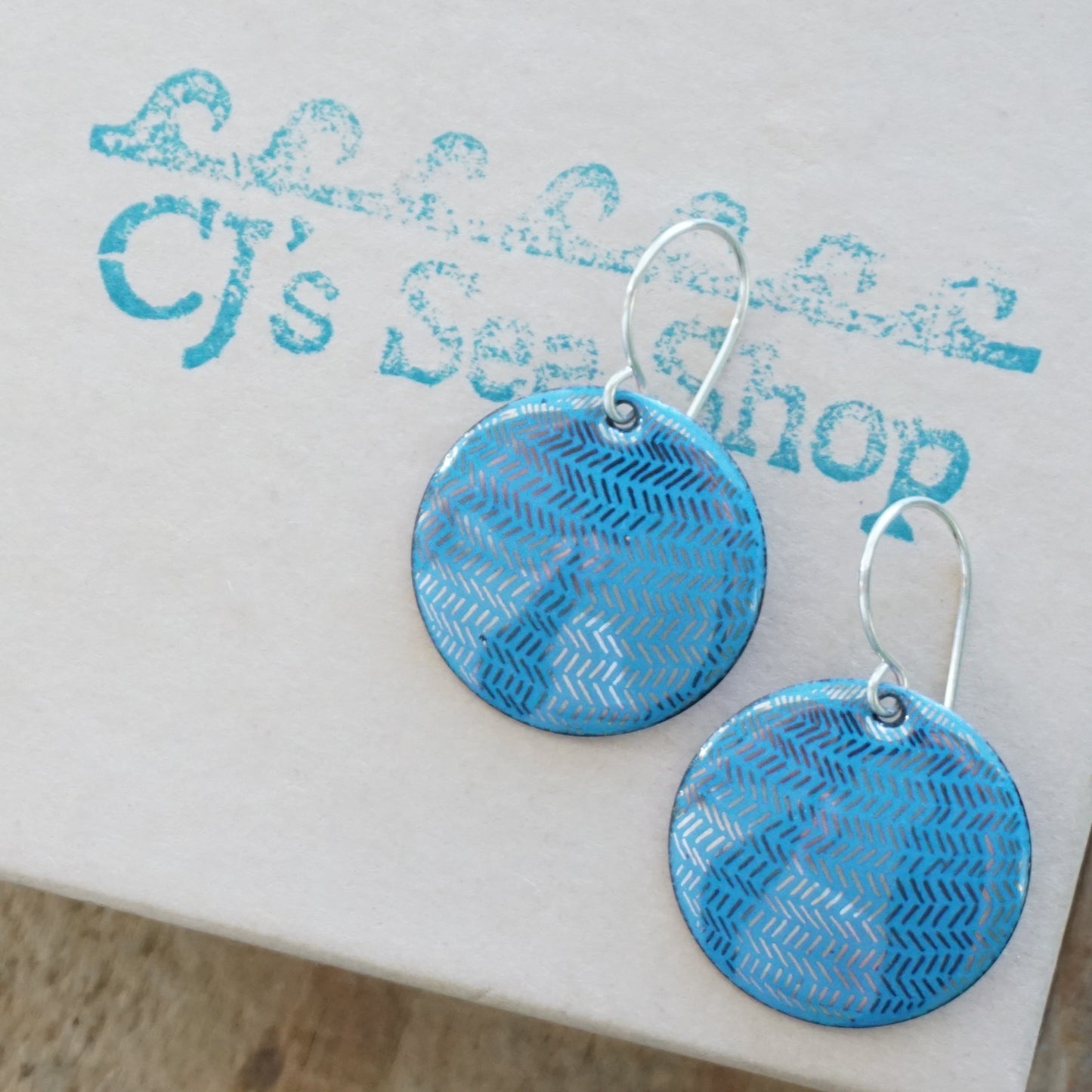Silver Accents on Blue Enamel Disc Earrings