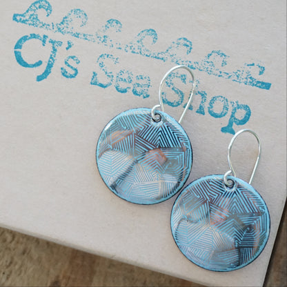 Silver Accents on Light Blue Enamel Disc Earrings