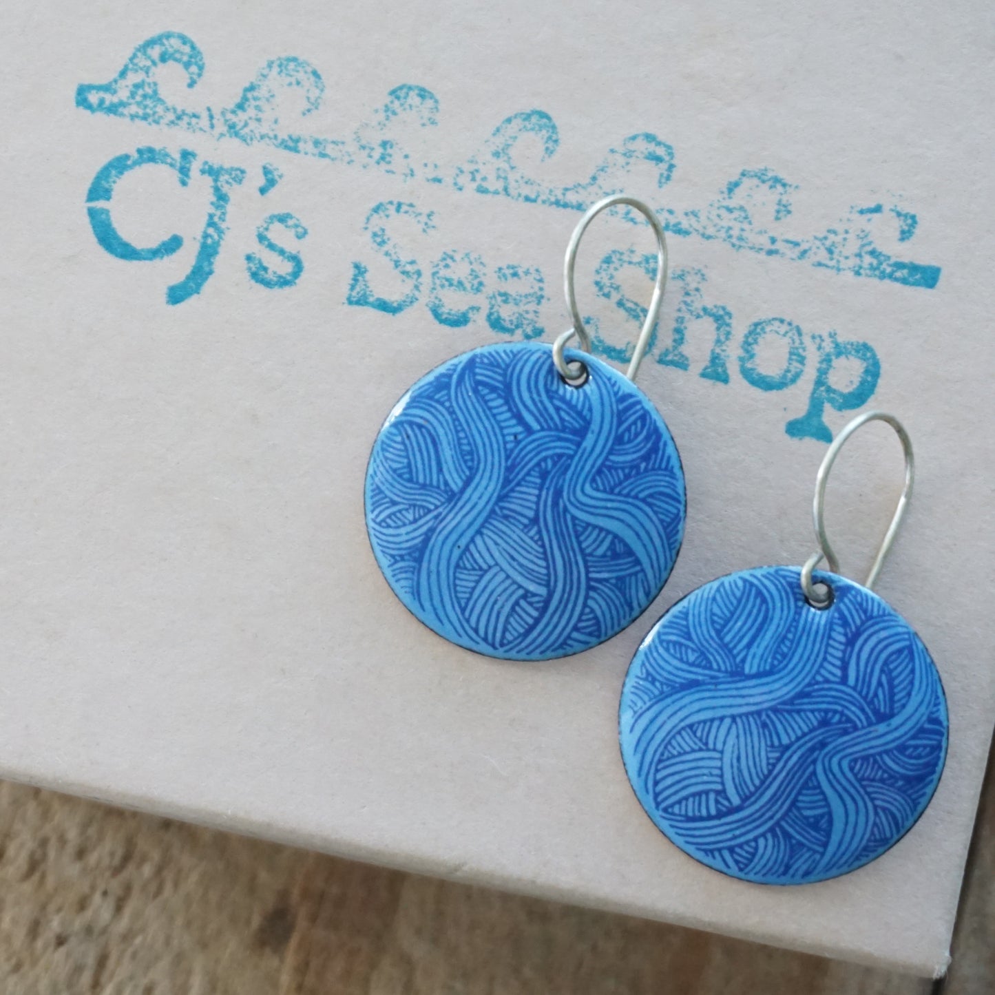 Blue Line Accents on Blue Enamel Disc Earrings