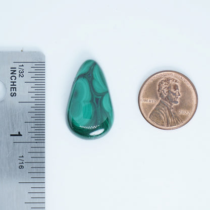 Teardrop-shaped green stone next to a penny for scale on a white background