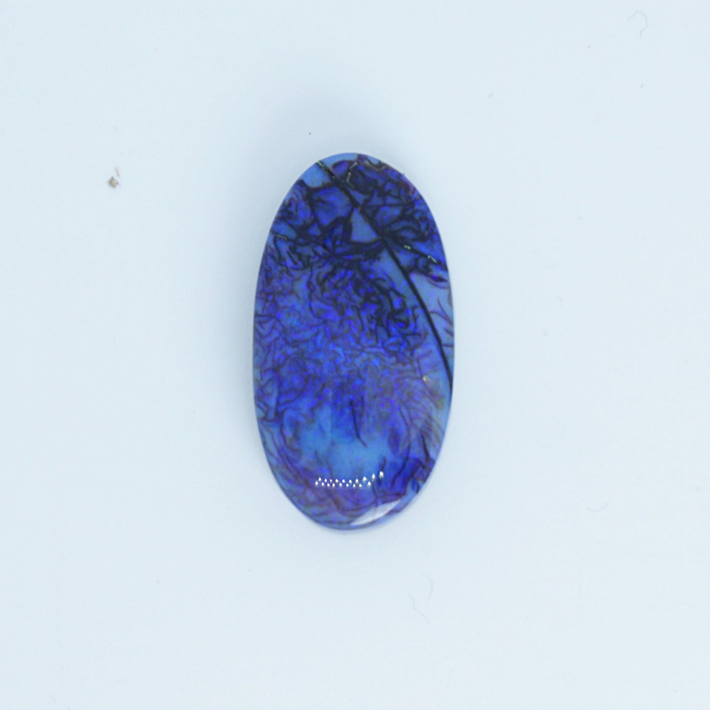 Oval-shaped blue lab created opal with a white background