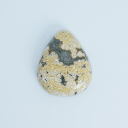Teardrop-shaped ocean jasper with a pattern of yellow, gray, and white on a light blue background