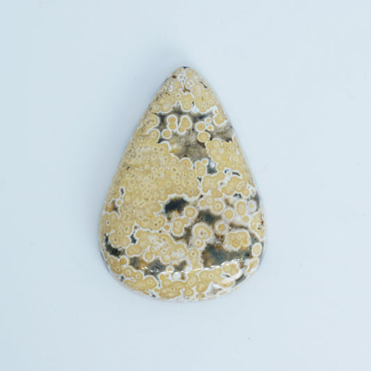 Teardrop-shaped ocean jasper with a pattern on a light blue background