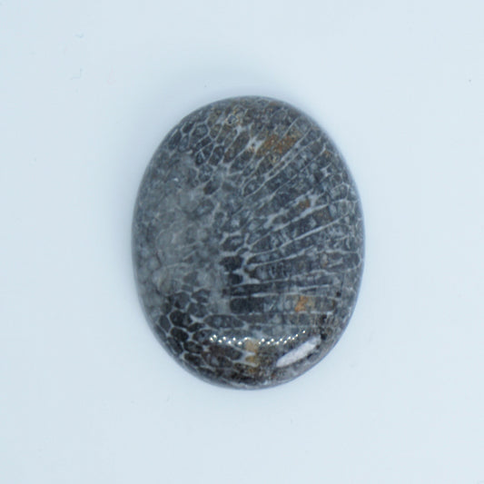 fossilized black coral cabochon available for custom order jewerly
