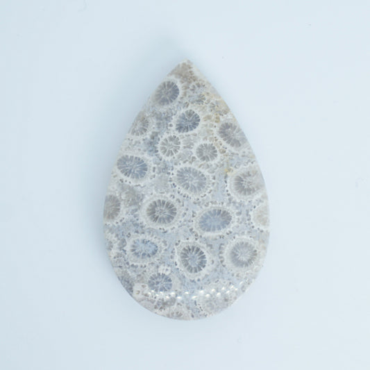 fossilized coral cabochon available for custom order jewelry