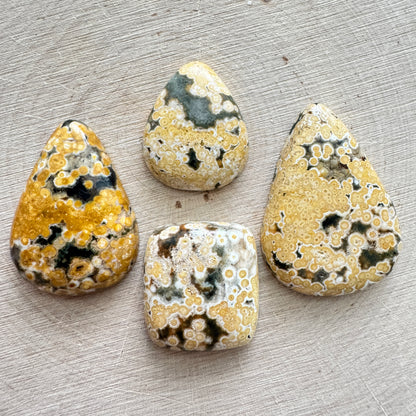 Ocean Jasper (Yellow) - Available for Custom Order - Prices Starting At: