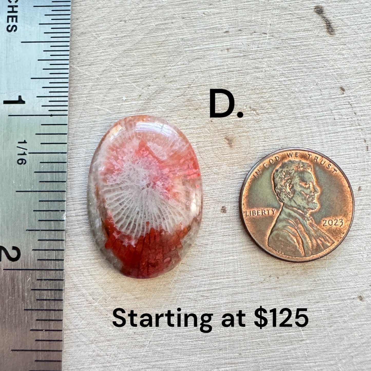 Fossilized Red Coral - Available for Custom Order - Prices Starting At: