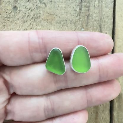 Kelly Green Sea Glass Stud Earrings