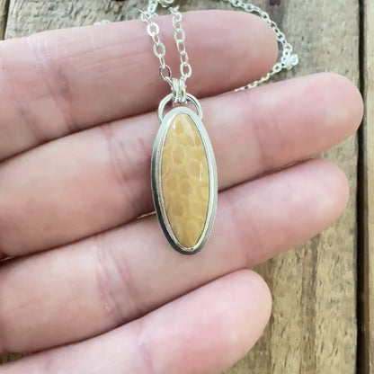 Fossilized Coral Pendant